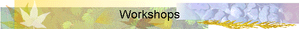 Workshops